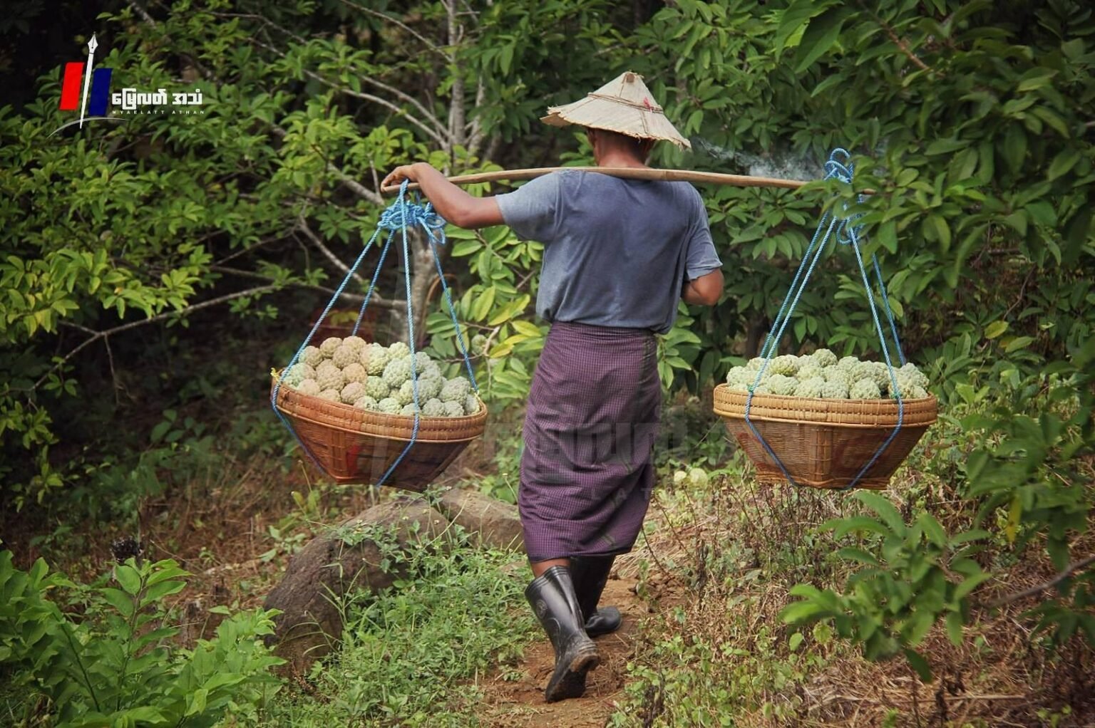 10cc8b6ea0daf1093208f16306110ee4